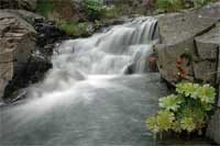 Waterfalls - Waters Gulch